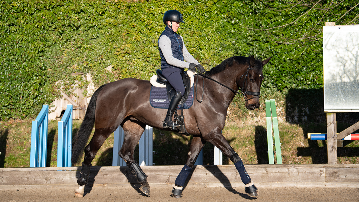 Tom McEwen schooling MHS Brown Jack at home