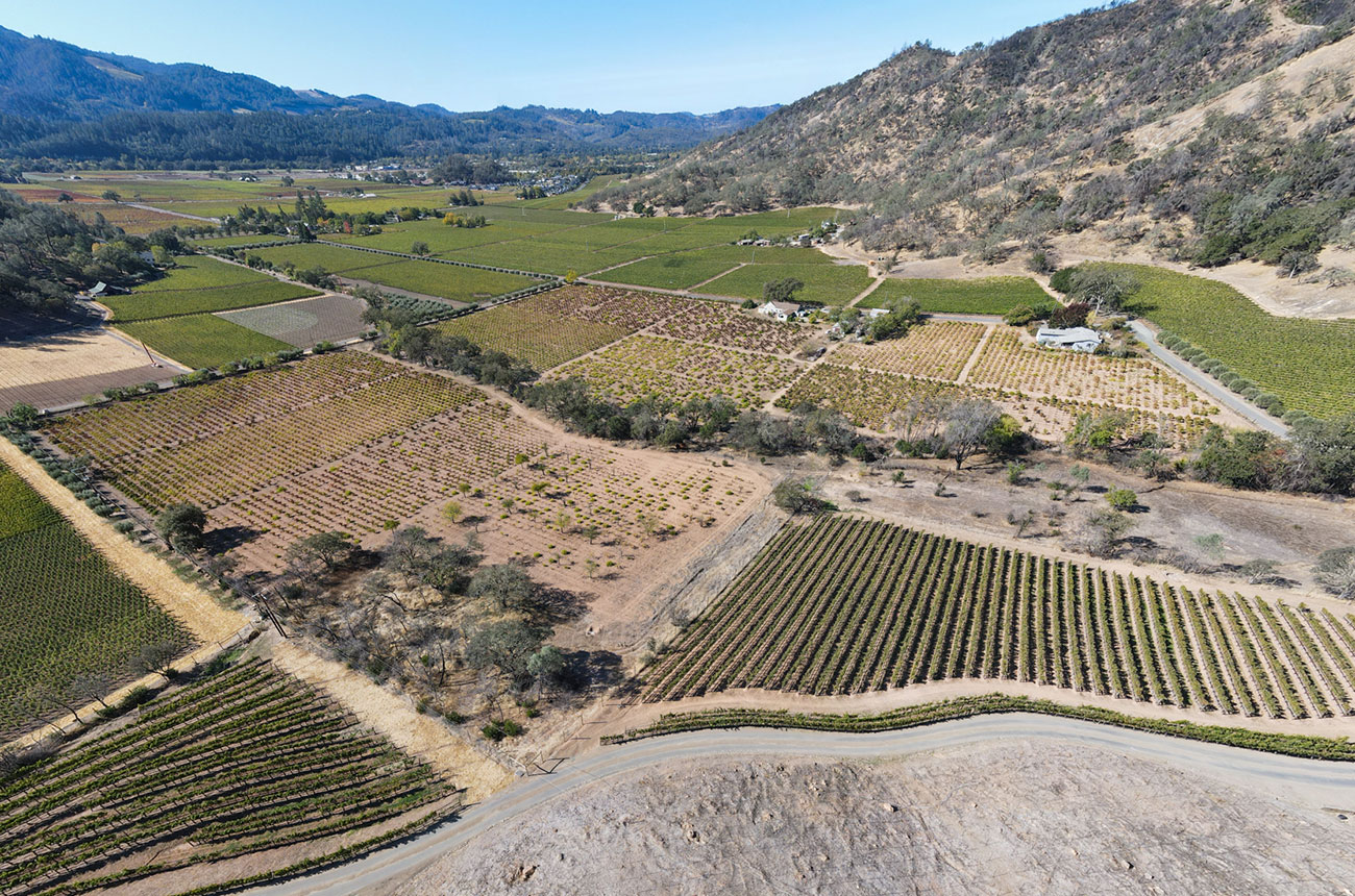 Alfred Frediani Ranch, Pickett Road, Napa