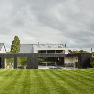 home with lawn and tree