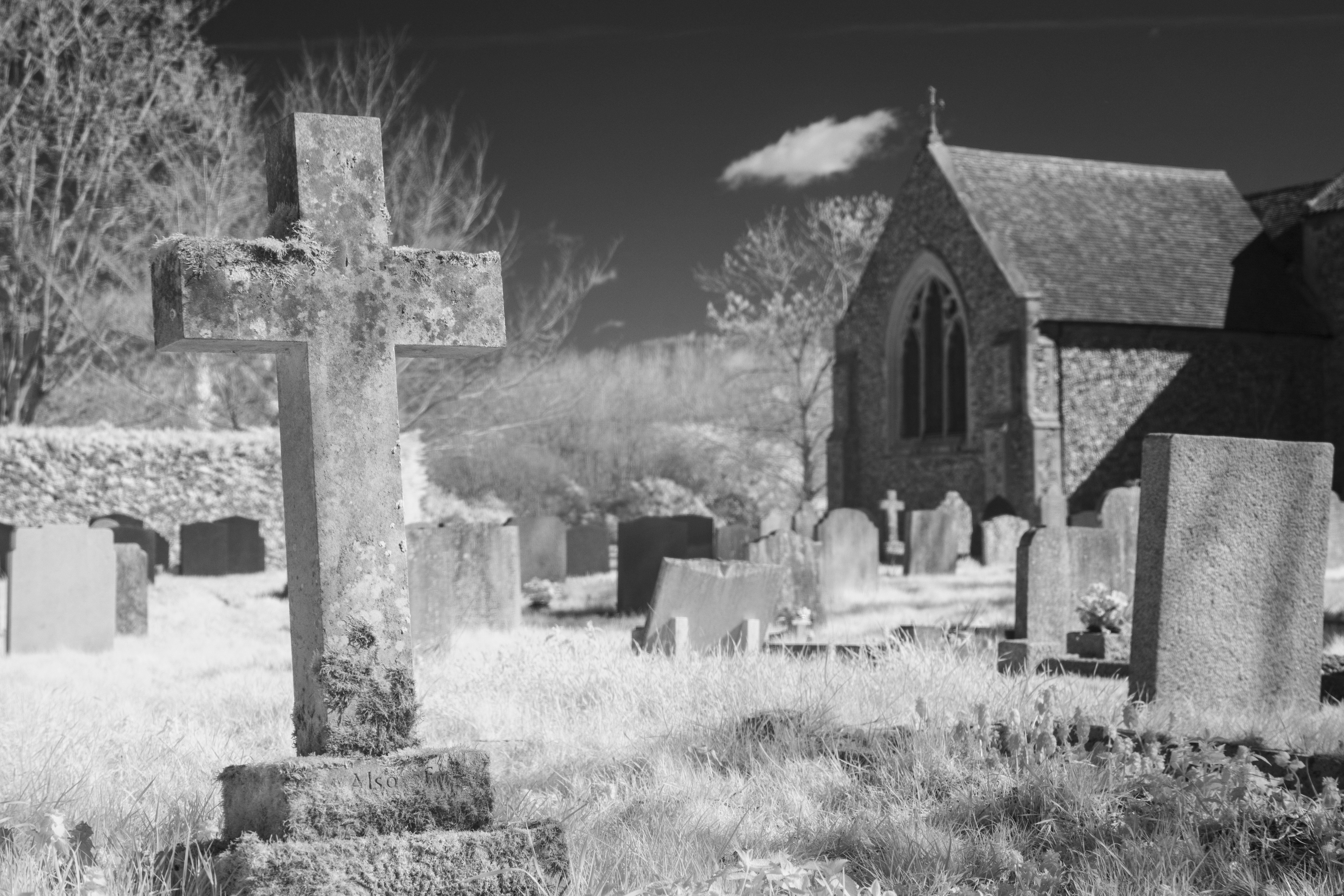 Fotga Variable IR Filter Test Shots