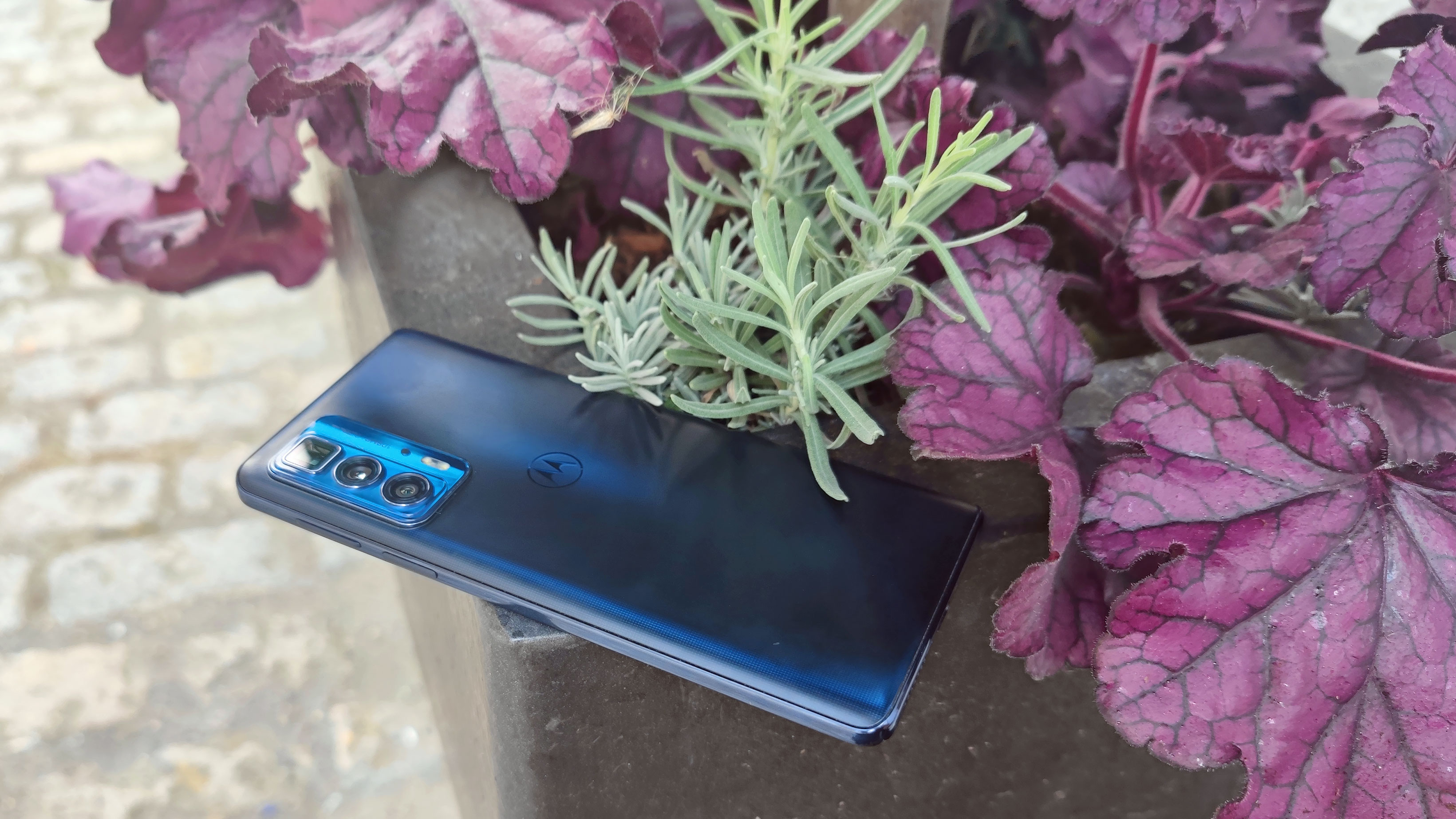 Motorola Edge 20 Pro ligger på en blomsterkasse ved siden av en lilla plante