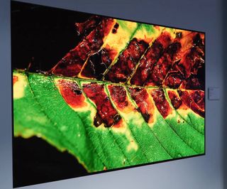 LG Display OLED TV with Meta technology
