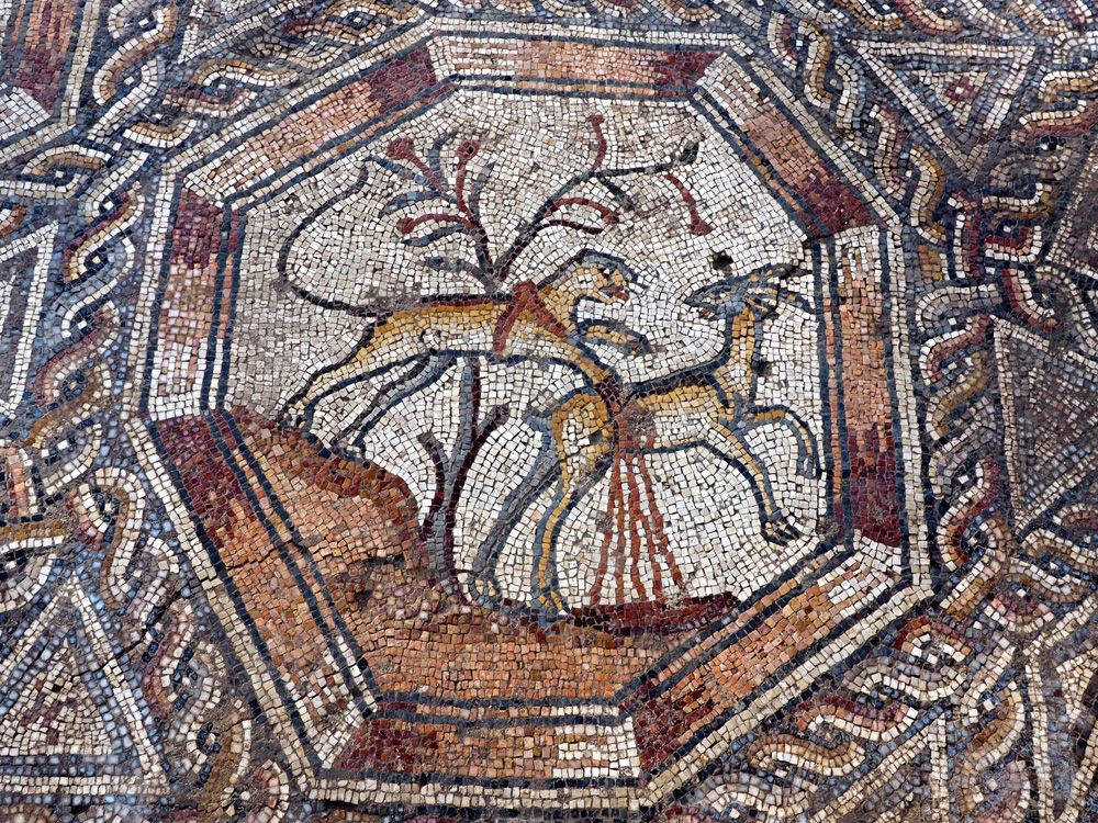 mosaic, lod, israel