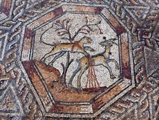 mosaic, lod, israel
