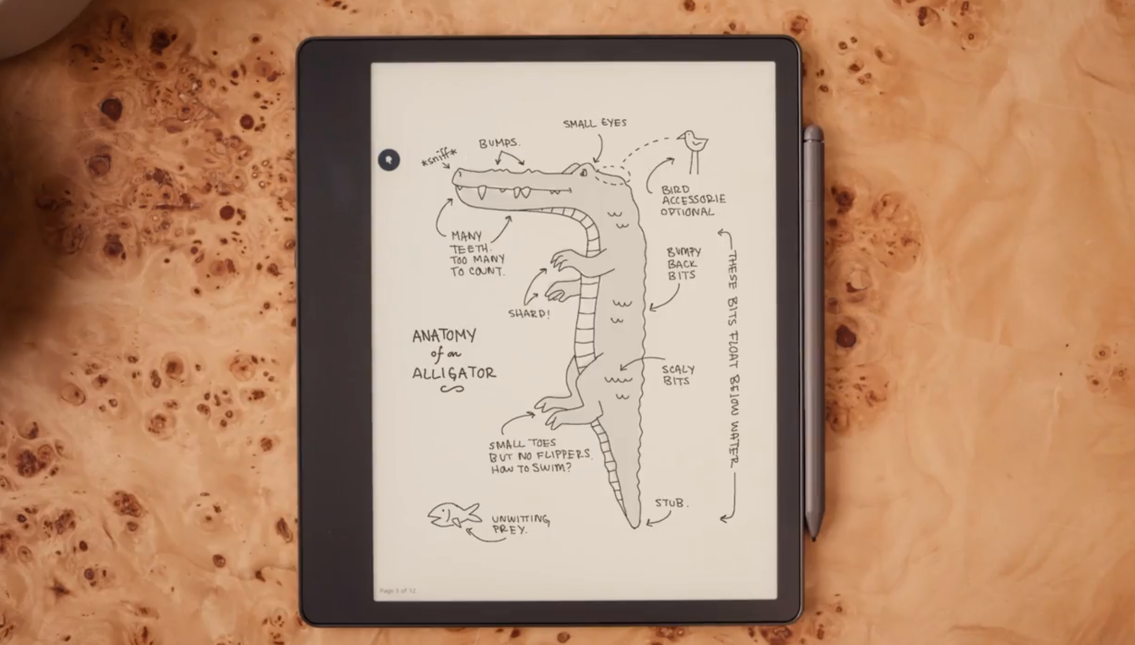 Amazon Kindle Scribe