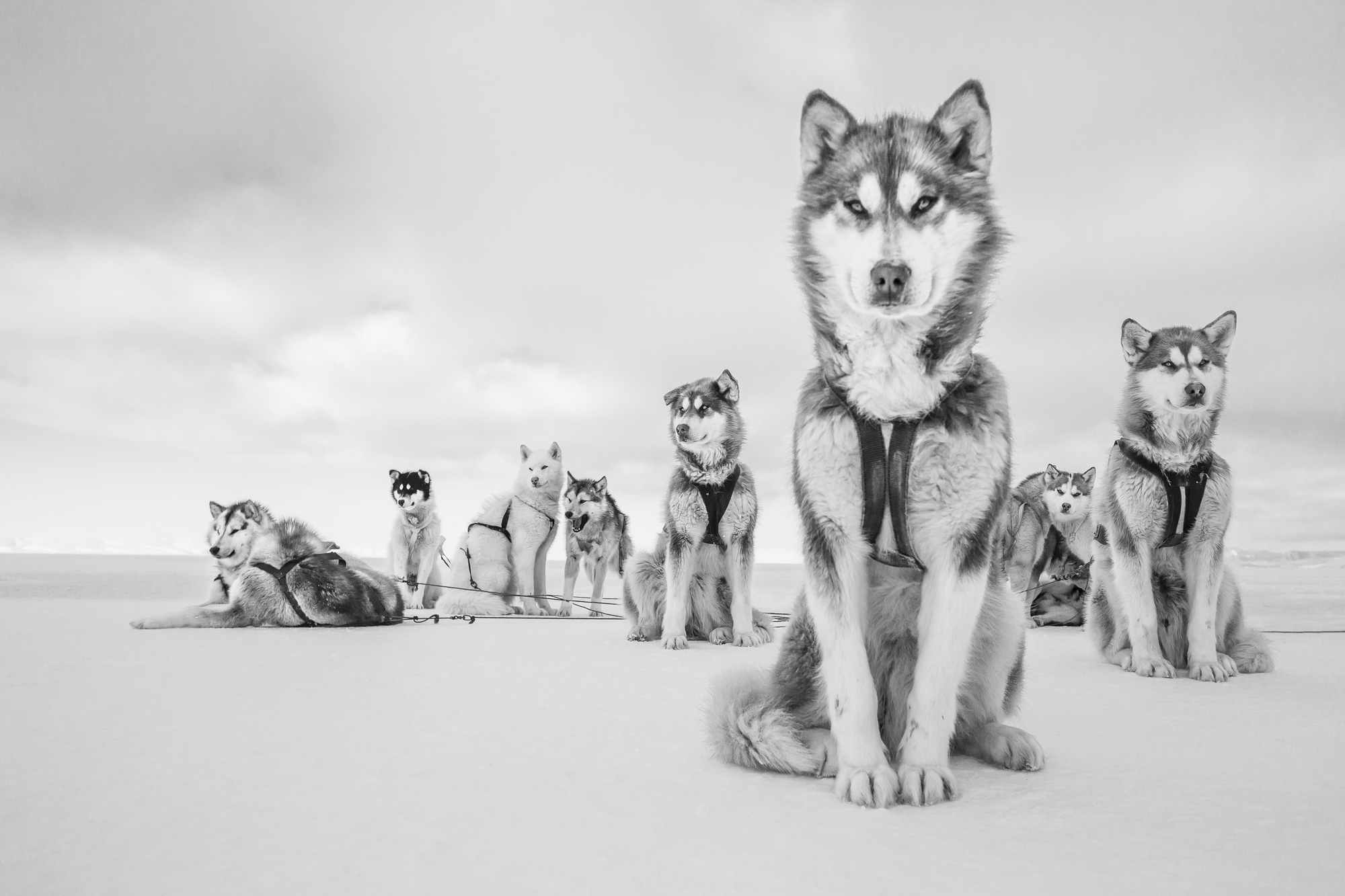 © Cristina Mittermeier