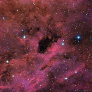 Barnard 343 by Jeffrey Johnson