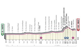 The profile of stage 3