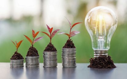 plant growing on coins and light bulb. concept saving money