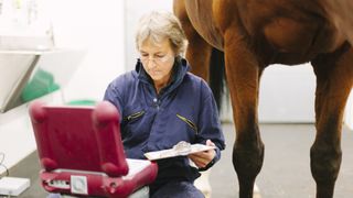 Vet at computer preparing to do some procedure with horse