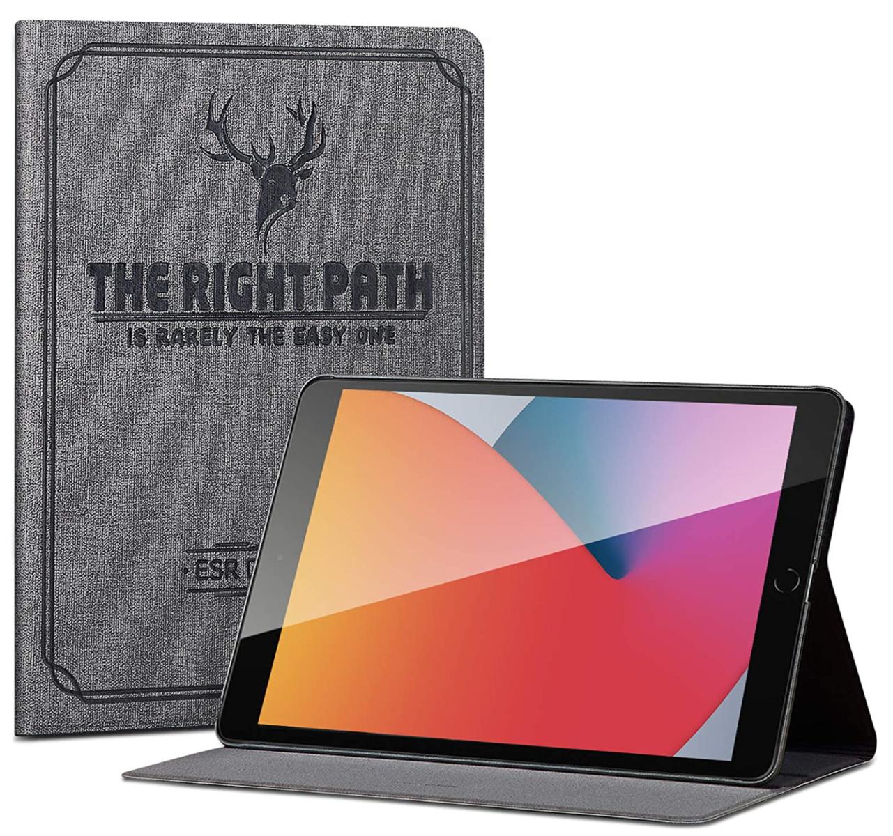 Ipad Esr Case
