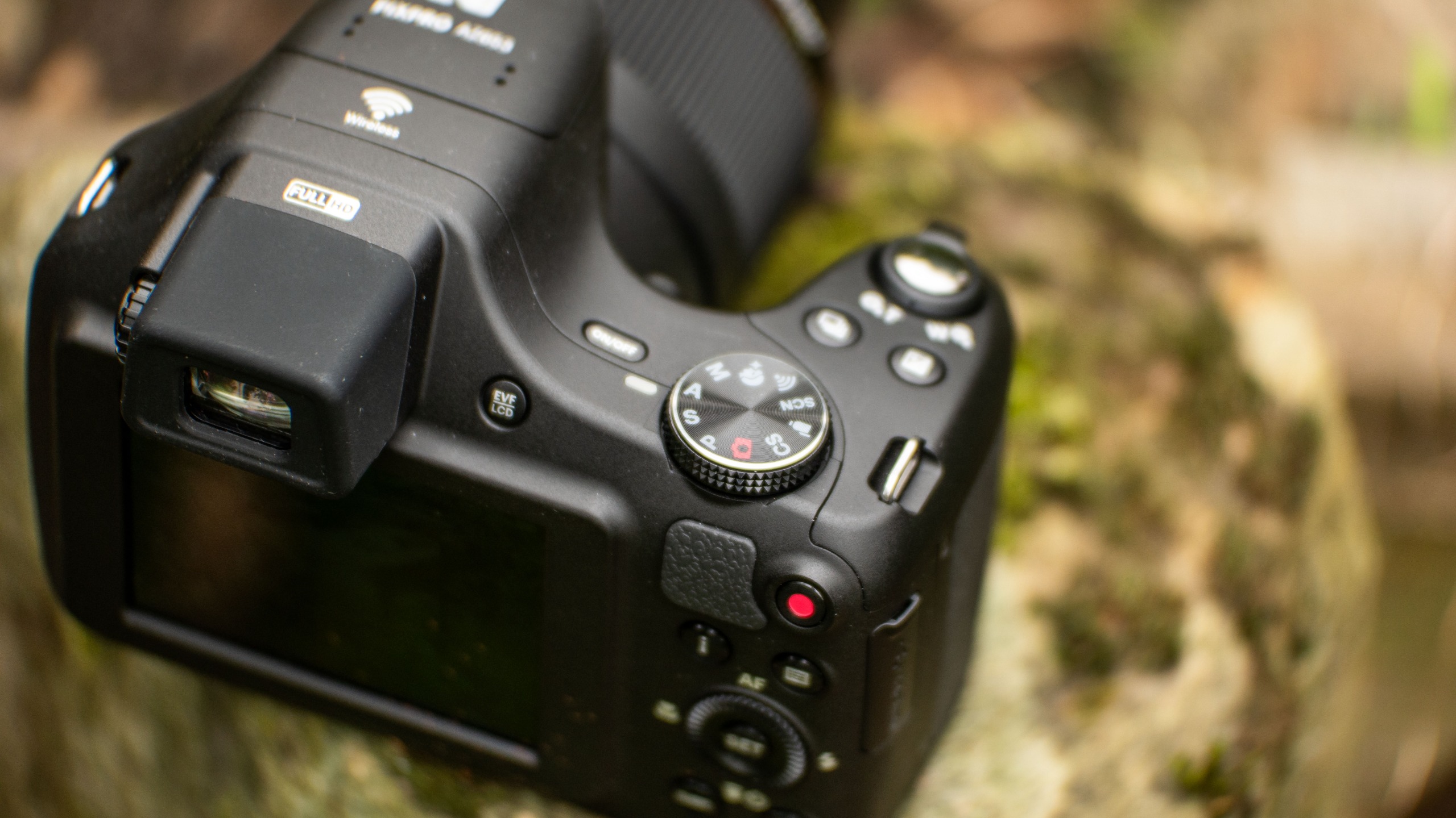 The Kodak AZ653 bridge camera outdoors