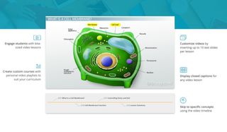 Cell membrane lesson