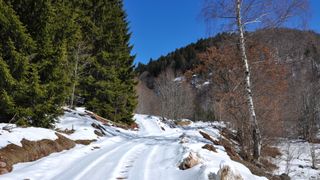 A snowy trail