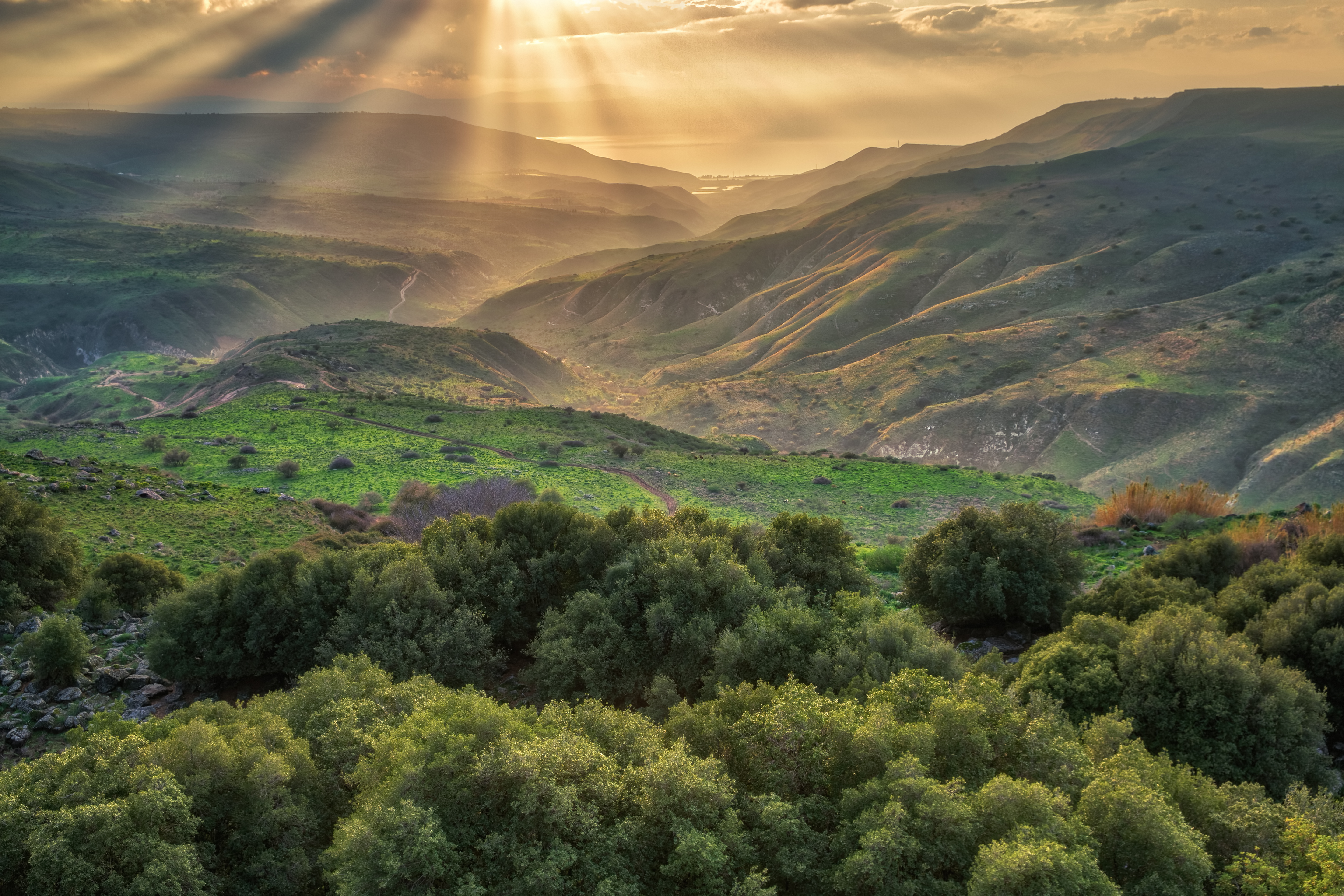 GuruShots - Vivid Landscapes March 2026