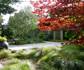 paving, acer, and grasses in garden by Gardenart group