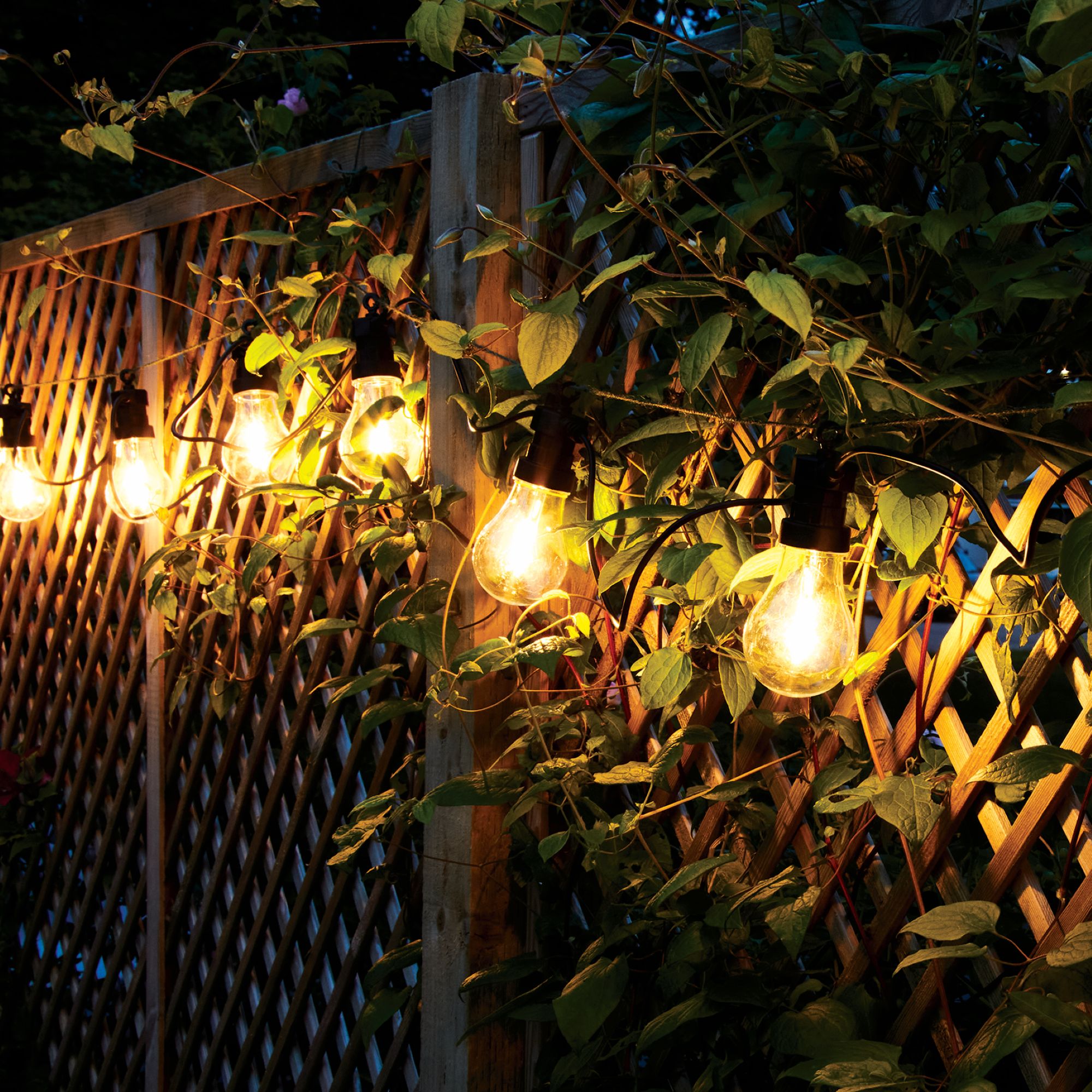 festoon lights on garden fence at night