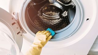 Rubber gloved hand cleaning interior of washer-dryer drum - How to clean a washer-dryer