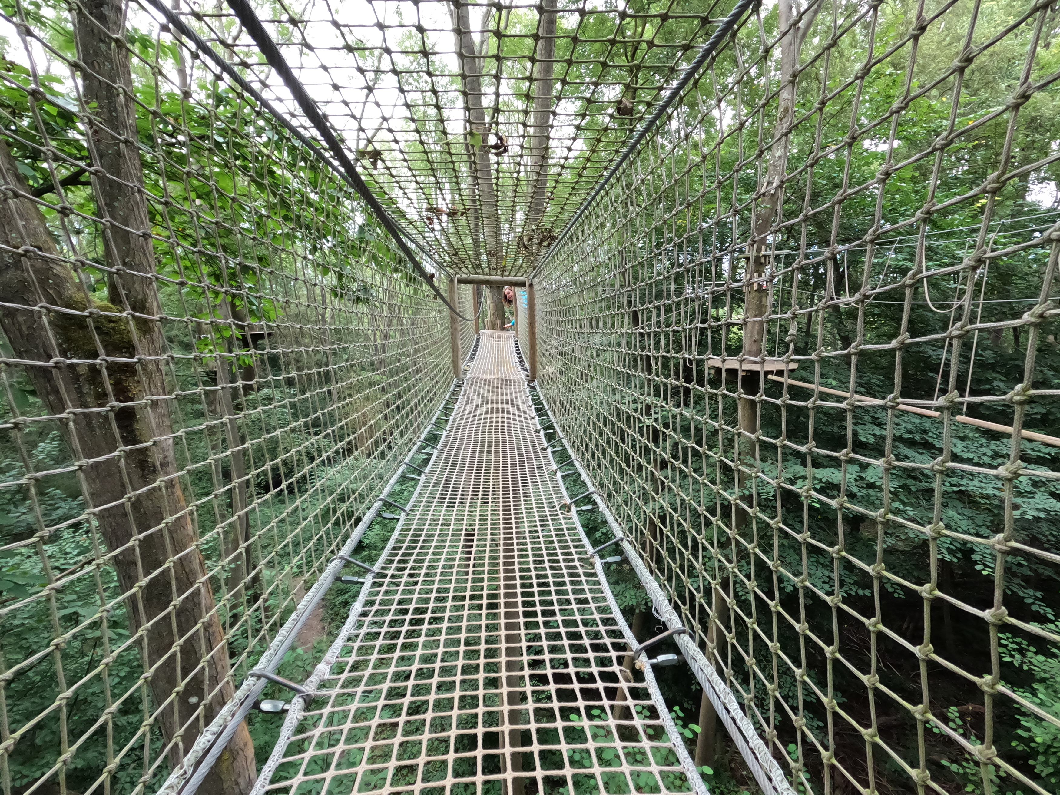 The inside of a netting tunnel at a GoApe adventure park