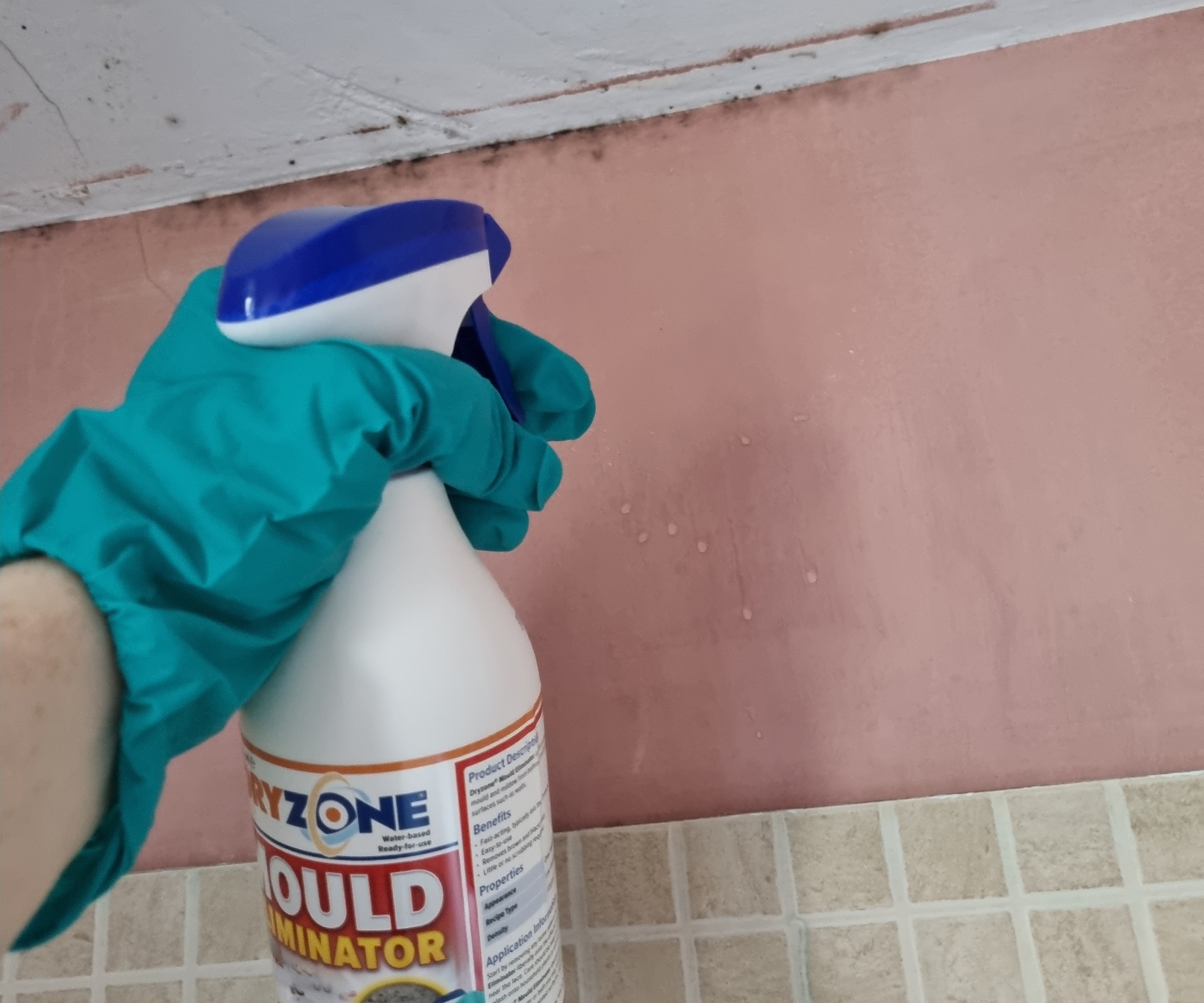 gloved hands spraying mould eliniator spry onto black mould on a bathroom wall