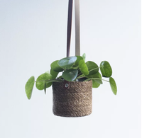 Darrell Natural Fibre Hanging Basket&nbsp;(Set of 2) | Now £24.99 at Wayfair