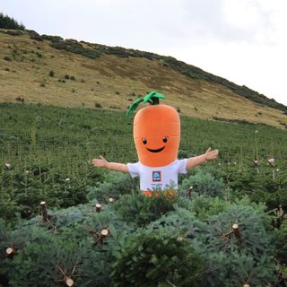 A carrot mascot wearing a white Aldi t-shirt stands with arms outstretched in a field full of Christmas trees.