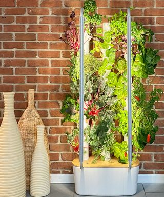 Gardyn Home Kit 3.0 hydroponic grow tower