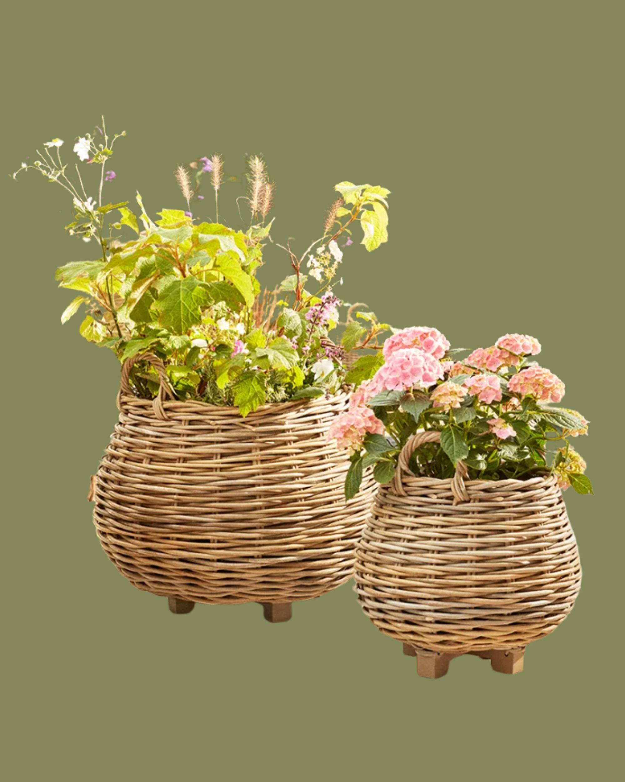 Cox &amp;amp; Cox, Two Indoor Outdoor Tapered Rattan Planters