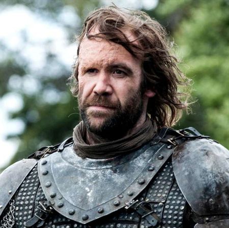 Facial hair, Beard, Human, Moustache, Armour, Knight, 
