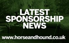 equestrian sponsorship