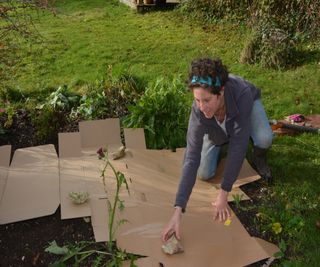 Using flattened cardboard to warm the soil in spring