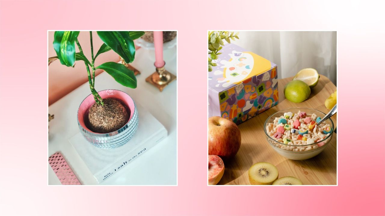 Two pictures of Etsy decor — one disco ball planter and one cereal bowl shaped candle