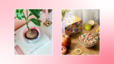 Two pictures of Etsy decor — one disco ball planter and one cereal bowl shaped candle
