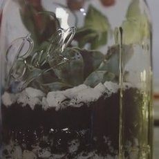 glass jar with succulent soil and gravel