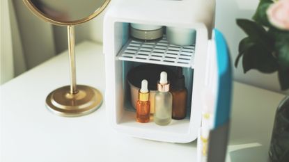 The best mini fridges for skincare 