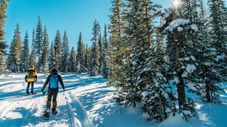 Male and Female Adult Hikers Snowshoeing Together on a Groomed Path Outdoors in the Snow