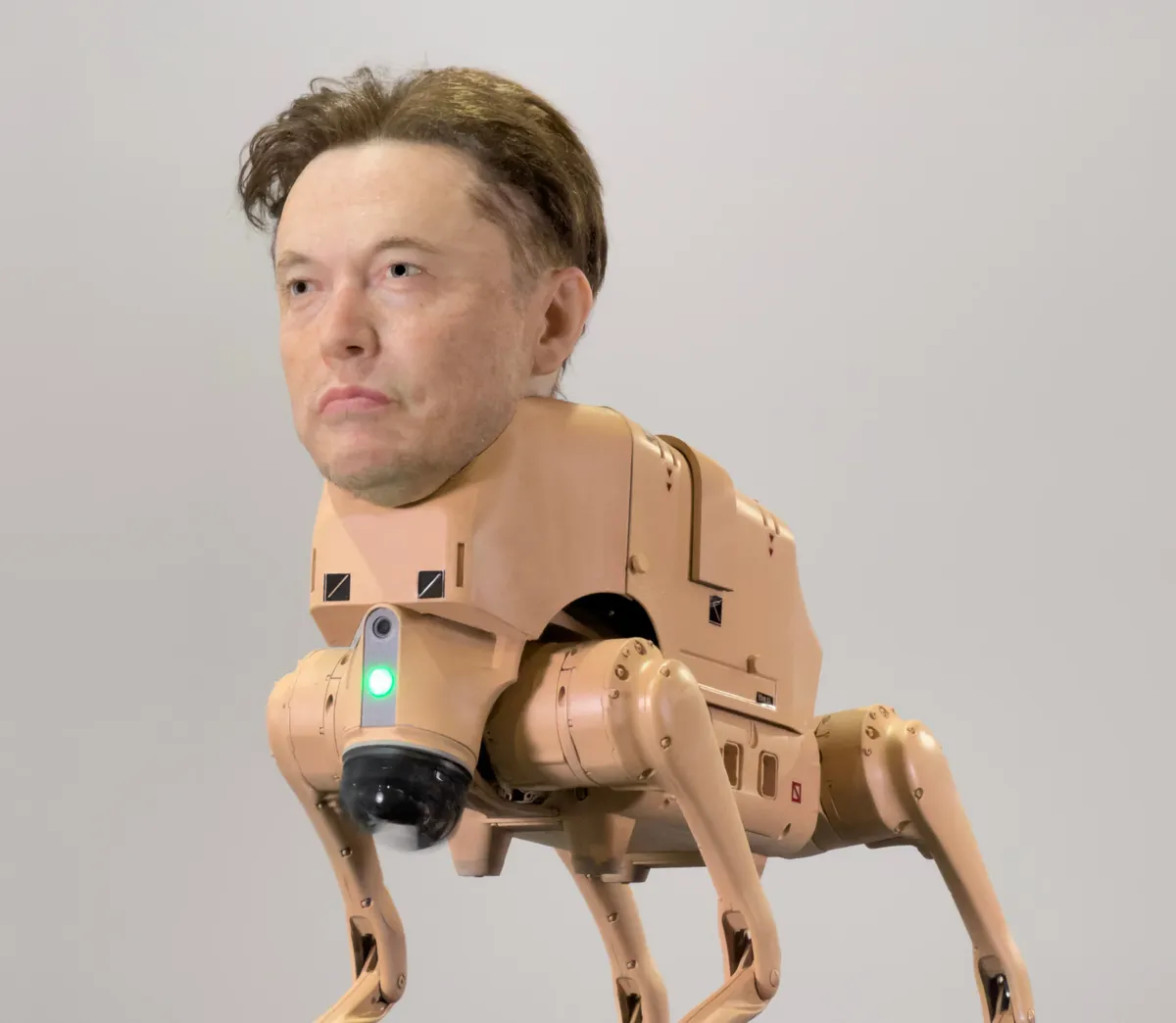 A robot dog with Elon Musk's face