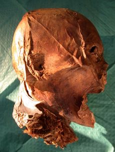 henry iv's embalmed head