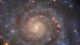 The intermediate spiral galaxy IC 5332 has a glowing core from which loosely-wound arms spiral, glittering with pink and orange stars. 