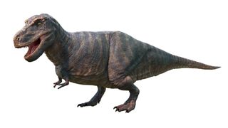 A 3D digital image showing Sue. There is no evidence that Tyrannosaurus rex had feathers.