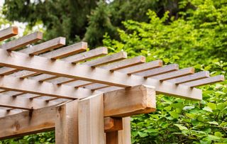 A wood pergola in a backyard