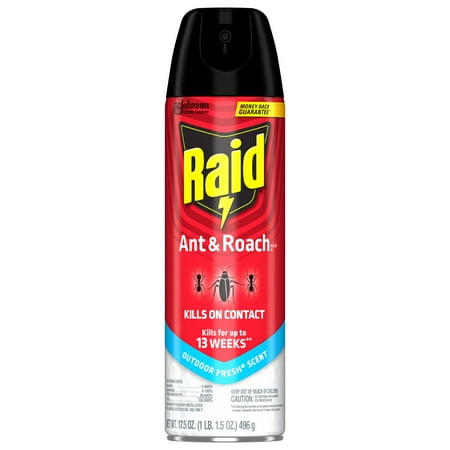 Raid Ant &amp;amp; Roach Insect Killer, Indoor Insecticide, Residual Killing Power, Outdoor Fresh Scent, 17.5 Oz