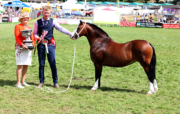 Royal Welsh Show 2018