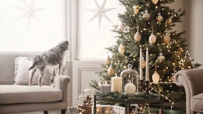 Christmas tree with fairy lights in a living room with table decor and dog on sofa - Lights4Fun