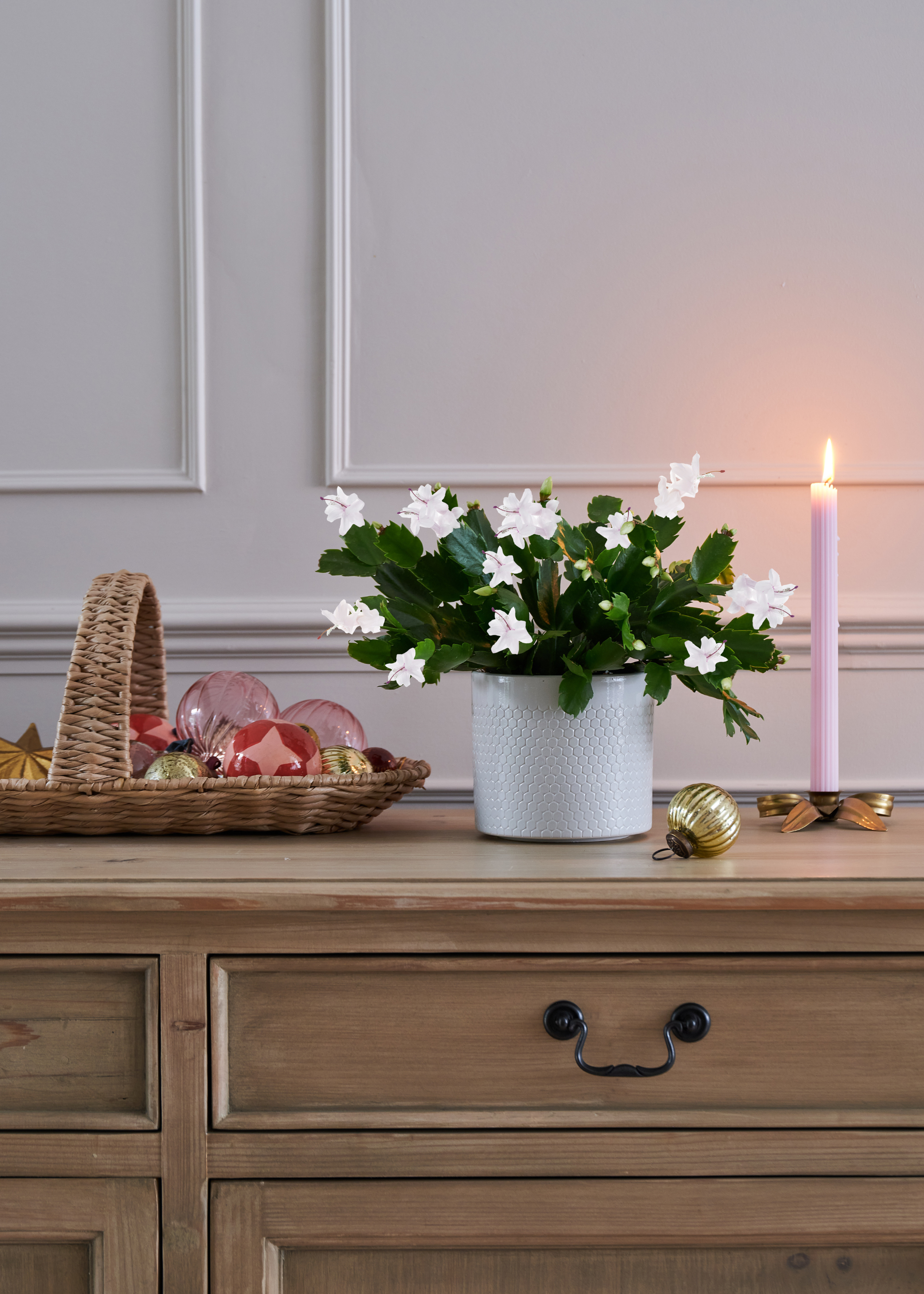 A white Christmas cactus in a ceramic planter on a sideboard beside a candle and a woven basket of baubles