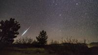 a long shooting star trails through the starry sky with trees silhouetted below.