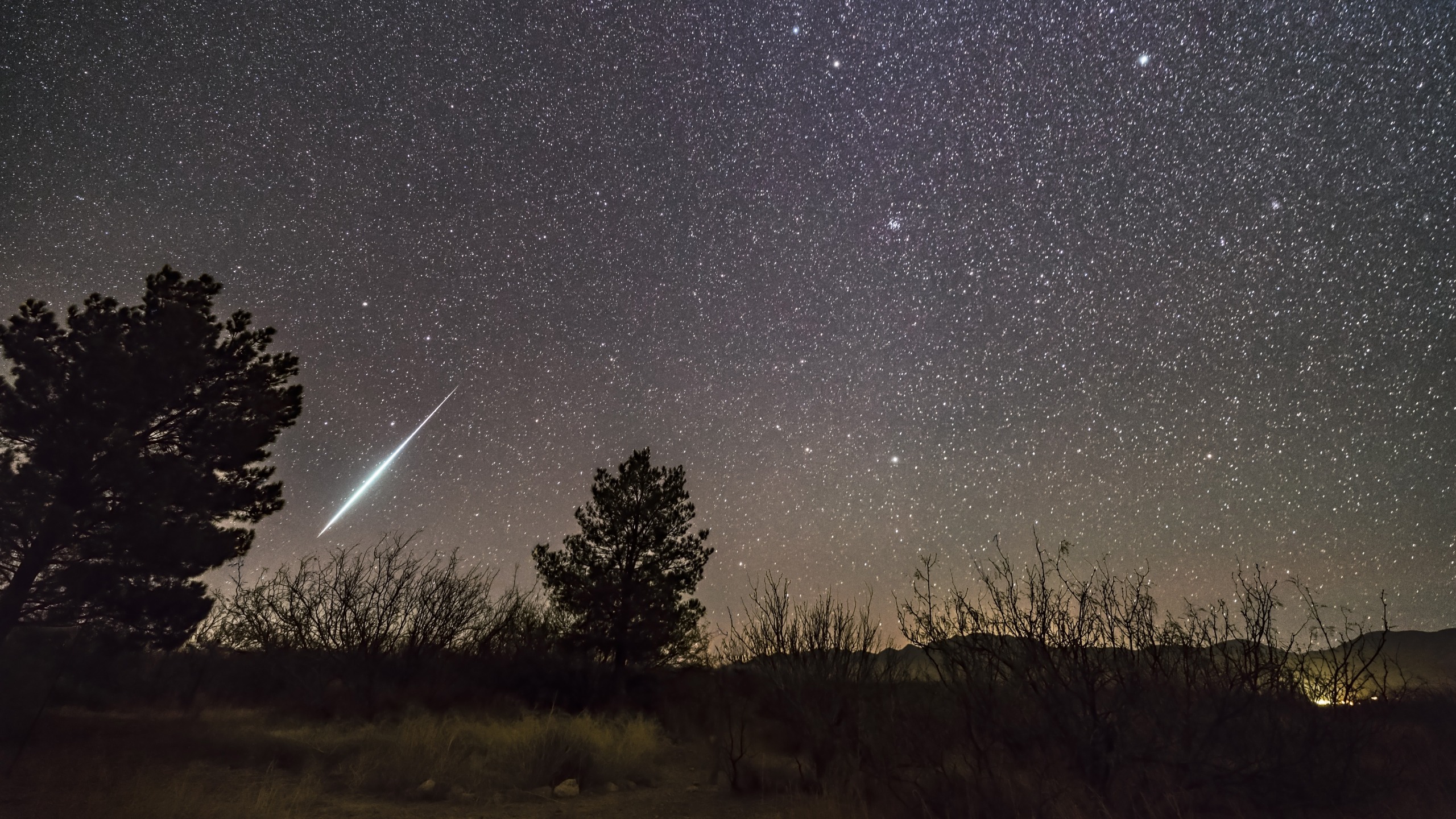 a long shooting star trails through the starry sky with trees silhouetted below.