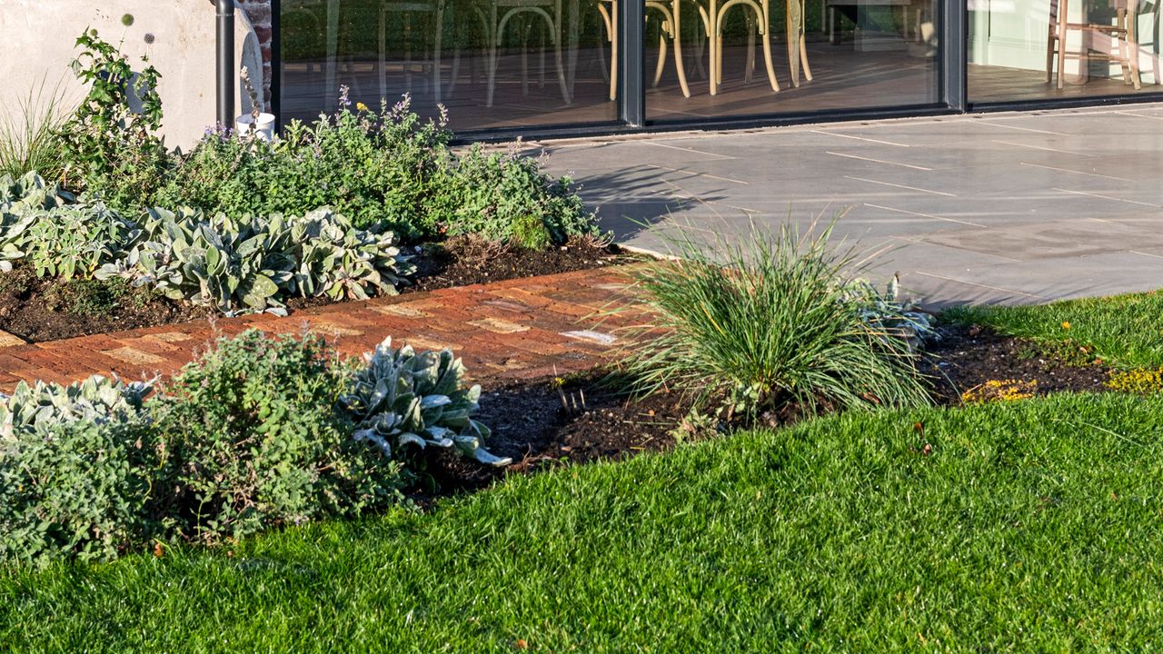 A patio with garden borders along a pathway and a lawn