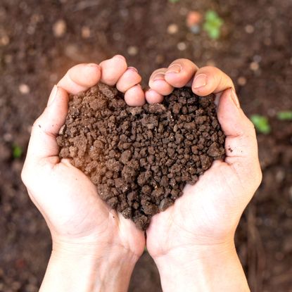 hand holding garden soil in heart shape