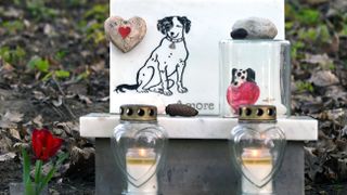 A dog's grave with flower and candles